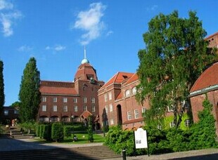 瑞典皇家理工学院